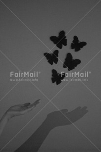 Fair Trade Photo Artistique, Black and white, Butterfly, Condolence-Sympathy, Get well soon, Peru, Shadow, Shooting style, South America, Vertical