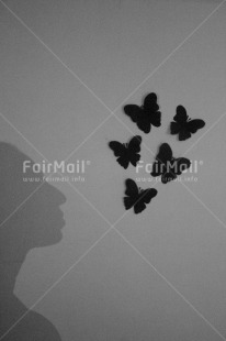 Fair Trade Photo Artistique, Black and white, Butterfly, Condolence-Sympathy, Get well soon, Peru, Shadow, Shooting style, South America, Vertical