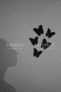 Fair Trade Photo Artistique, Black and white, Butterfly, Condolence-Sympathy, Get well soon, Peru, Shadow, Shooting style, South America, Vertical