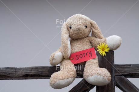 Fair Trade Photo Animals, Colour image, Flower, Horizontal, Peru, Rabbit, Sorry, South America