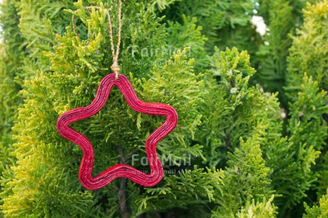 Fair Trade Photo Christmas, Colour image, Horizontal, Peru, South America, Star