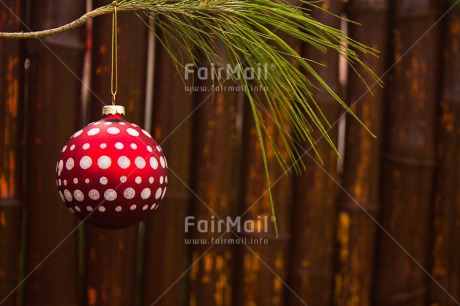 Fair Trade Photo Brown, Christmas, Christmas ball, Colour image, Dots, Hanging, Horizontal, Outdoor, Peru, Red, South America, Tree, Wood