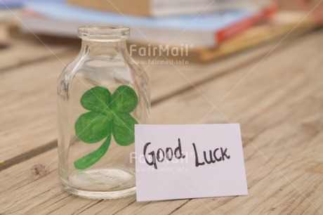 Fair Trade Photo Book, Bottle, Clover, Colour image, Desk, Exams, Glass, Good luck, Green, Horizontal, Peru, School, South America, Success, Table, Text, White, Wood