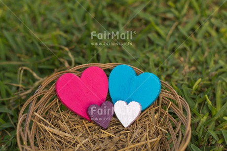 Fair Trade Photo Blue, Colour image, Easter, Family, Grass, Green, Heart, Horizontal, Love, Nest, New baby, Outdoor, Peru, Pink, Purple, Seasons, South America, Spring, Summer, Twins, White