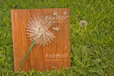 Fair Trade Photo Blow ball, Colour image, Crafts, Grass, Green, Horizontal, Outdoor, Peru, Seasons, Sorry, South America, Spring, Summer, Wishing, Wood, Wool