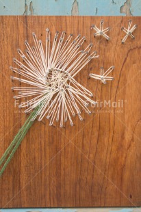 Fair Trade Photo Blow ball, Colour image, Crafts, Peru, Seasons, Sorry, South America, Spring, Summer, Vertical, Wishing, Wood, Wool