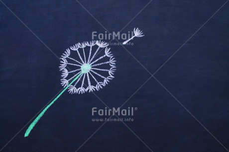 Fair Trade Photo Activity, Blackboard, Blow ball, Chalk, Colour image, Drawing, Horizontal, Peru, South America, Wishing