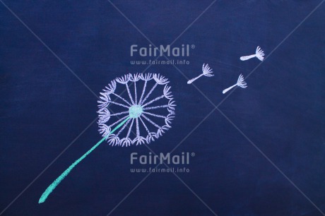 Fair Trade Photo Activity, Blackboard, Blow ball, Chalk, Colour image, Drawing, Horizontal, Peru, South America, Wishing