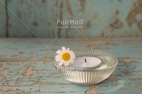 Fair Trade Photo Blue, Candle, Colour image, Condolence-Sympathy, Daisy, Day, Flower, Horizontal, Light, Mothers day, Peru, South America, White