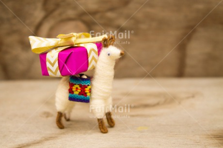 Fair Trade Photo Activity, Animals, Birthday, Celebrating, Colour image, Gift, Horizontal, Indoor, Llama, Peru, South America, Thank you