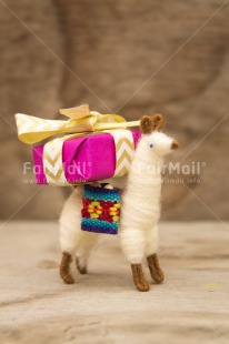 Fair Trade Photo Activity, Animals, Birthday, Celebrating, Colour image, Gift, Horizontal, Indoor, Llama, Peru, South America, Thank you