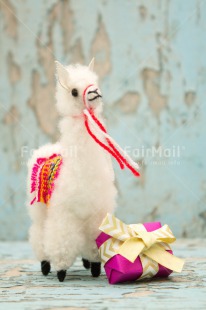 Fair Trade Photo Activity, Animals, Birthday, Celebrating, Colour image, Gift, Indoor, Llama, Peru, South America, Thank you, Vertical