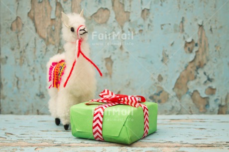 Fair Trade Photo Activity, Animals, Birthday, Celebrating, Colour image, Gift, Horizontal, Indoor, Llama, Peru, South America, Thank you