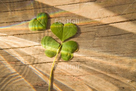 Fair Trade Photo Activity, Clover, Colour image, Crayon, Drawing, Exams, Good luck, Horizontal, Indoor, Light, New Job, Peru, South America, Success, Table, Wood