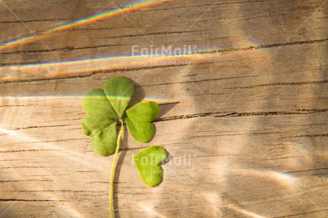 Fair Trade Photo Activity, Clover, Colour image, Crayon, Drawing, Exams, Good luck, Horizontal, Indoor, Light, New Job, Peru, South America, Success, Table, Wood