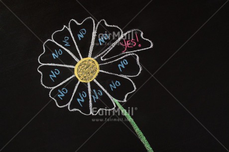 Fair Trade Photo Blackboard, Blow ball, Business, Colour image, Different, Exams, Indoor, New Job, Office, Peru, South America, Studio, Success