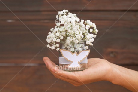Fair Trade Photo Animals, Bird, Christianity, Colour image, Communion, Confirmation, Flowers, Gift, Glass, Hand, Horizontal, Peace, Peru, Pigeon, Religion, South America, White, Wood