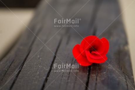 Fair Trade Photo Colour image, Contrast, Fathers day, Flower, Horizontal, Mothers day, Peru, Red, Sorry, South America, Thank you, Valentines day, Wood