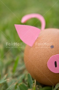 Fair Trade Photo Animals, Colour image, Colourful, Easter, Egg, Food and alimentation, Grass, Peru, Pig, Pink, South America