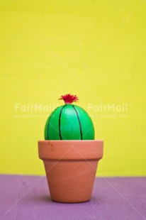 Fair Trade Photo Birthday, Cactus, Colour image, Colourful, Easter, Egg, Food and alimentation, Love, Peru, South America, Thank you, Thinking of you