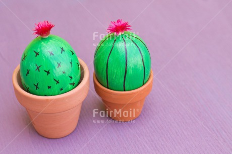 Fair Trade Photo Birthday, Cactus, Colour image, Colourful, Easter, Egg, Food and alimentation, Friendship, Horizontal, Love, Peru, South America, Thank you, Thinking of you