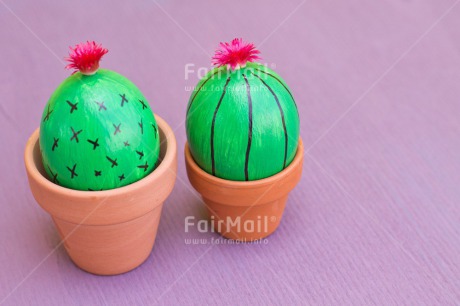 Fair Trade Photo Birthday, Cactus, Colour image, Colourful, Easter, Egg, Food and alimentation, Friendship, Horizontal, Love, Peru, South America, Thank you, Thinking of you