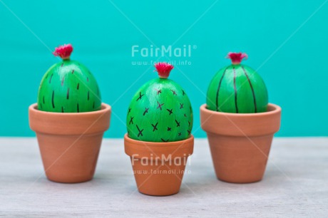 Fair Trade Photo Birthday, Cactus, Colour image, Colourful, Easter, Egg, Food and alimentation, Friendship, Horizontal, Love, Peru, South America, Thank you, Thinking of you