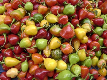 Fair Trade Photo Colour image, Colourful, Food and alimentation, Fullframe, Horizontal, Market, Peru, South America