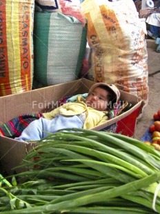 Fair Trade Photo 0-5 years, Care, Colour image, Dailylife, Day, Indoor, Latin, Market, One baby, Outdoor, People, Peru, Responsibility, South America, Streetlife, Values, Vertical