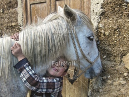 Fair Trade Photo 5 -10 years, Activity, Animals, Colour image, Day, Friendship, Horizontal, Horse, Hugging, Latin, Love, One boy, One child, Outdoor, People, Peru, Smiling, South America