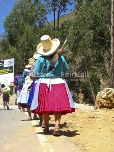 Fair Trade Photo Activity, Agriculture, Carrying, Clothing, Colour image, Cooperation, Day, Ethnic-folklore, Group of women, Hat, Nature, Outdoor, People, Peru, Rural, South America, Street, Streetlife, Strength, Traditional clothing, Vertical, Walking, Working