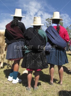 Fair Trade Photo Animals, Clothing, Colour image, Cooperation, Cow, Ethnic-folklore, Friendship, Group of women, Market, Multi-coloured, Nature, Outdoor, People, Peru, Portrait fullbody, Rural, Skirt, Sombrero, South America, Together, Traditional clothing, Vertical