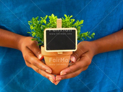 Fair Trade Photo Blue, Colour image, Congratulations, Contrast, Fathers day, Gift, Good luck, Green, Greeting, Hands, Horizontal, Message, Mothers day, Peru, Plant, Pot, Sorry, South America, Thank you, Valentines day