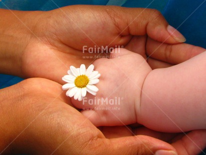 Fair Trade Photo Baby, Blue, Child, Colour image, Daisy, Flower, Hand, Hands, Horizontal, Mother, New baby, People, Peru, South America