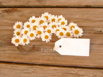 Fair Trade Photo Card, Colour image, Daisy, Desk, Fathers day, Flowers, Good luck, Horizontal, Love, Message, Mothers day, Peru, Sorry, South America, Table, Thank you, Valentines day, White, Wood