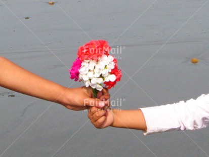 Fair Trade Photo 10-15 years, 5 -10 years, Children, Colour image, Flowers, Friendship, Girls, Holding, Horizontal, Latin, People, Peru, Sea, Sister, Sorry, South America, Thank you, Water