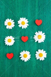 Fair Trade Photo Colour image, Daisy, Fathers day, Flower, Flowers, Game, Green, Heart, Indoor, Love, Marriage, Mothers day, Peru, Red, South America, Studio, Valentines day, Wedding, White