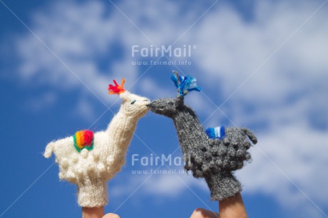 Fair Trade Photo Activity, Animals, Black, Blue, Clouds, Colour image, Couple, Day, Finger, Horizontal, Kissing, Llama, Love, Marriage, Outdoor, Peru, Sky, South America, Toy, Valentines day, Wedding, White