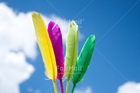 Fair Trade Photo Activity, Birthday, Blue, Celebrating, Clouds, Colour image, Colourful, Day, Emotions, Feather, Flying, Friendship, Happiness, Holding, Holiday, Horizontal, Multi-coloured, Outdoor, Peru, Seasons, Sky, South America, Summer, Thank you