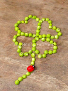 Fair Trade Photo Clover, Colour image, Exams, Food and alimentation, Good luck, Green, Ladybug, Pea, Peru, Red, South America, Success, Vertical