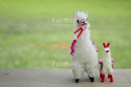 Fair Trade Photo Animals, Child, Colour image, Couple, Fathers day, Friendship, Llama, Love, Mother, Mothers day, Outdoor, Peru, South America, Together, Toy, Two