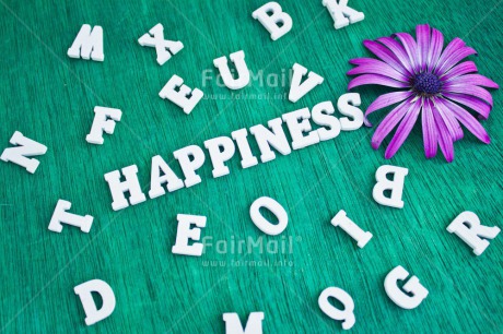 Fair Trade Photo Colour image, Colourful, Emotions, Flower, Green, Happiness, Happy, Horizontal, Indoor, Letter, Letters, Multi-coloured, Peru, Purple, South America, Text, White
