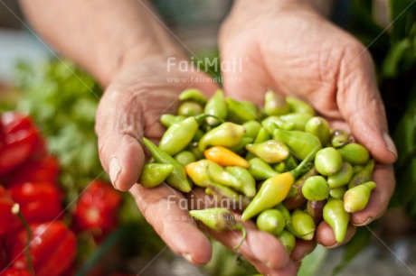 Fair Trade Photo Colour image, Food, Food and alimentation, Green, Hand, Horizontal, Pepper, Peru, South America, Tarapoto travel. market