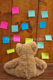 Fair Trade Photo Animals, Bear, Colour image, New Job, Peluche, Peru, South America, Strength, Success, Teddybear, Wood