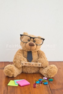 Fair Trade Photo Animals, Bear, Colour image, Glasses, Letter, New Job, Peluche, Peru, South America, Teddybear, Text, Wood