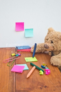 Fair Trade Photo Animals, Bear, Colour image, New Job, Peluche, Peru, South America, Strength, Success, Teddybear, Wood