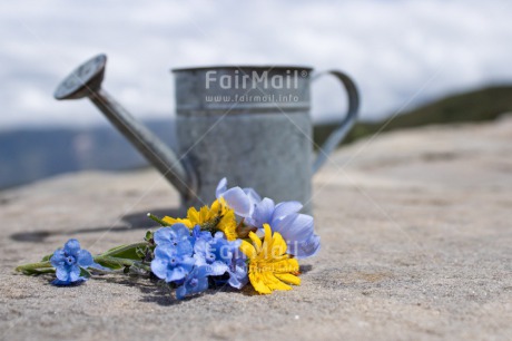 Fair Trade Photo Birthday, Blue, Chachapoyas, Clouds, Colour image, Friendship, Get well soon, Horizontal, Mothers day, New home, Peru, Sky, Sorry, South America, Thank you, Thinking of you, Watering can, Welcome home, Yellow