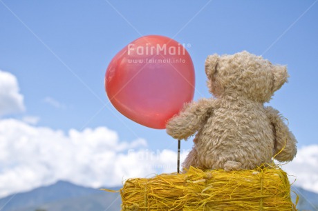 Fair Trade Photo Baby, Balloon, Birth, Birthday, Brother, Chachapoyas, Clouds, Colour image, Congratulations, Fathers day, Friendship, Get well soon, Girl, Holiday, Horizontal, Love, Mothers day, New baby, New beginning, New home, Party, Peluche, People, Peru, Sister, Sky, Sorry, South America, Thank you, Thinking of you, Valentines day, Welcome home, Yellow