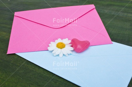 Fair Trade Photo Blue, Colour image, Daisy, Envelope, Flower, Horizontal, Love, Marriage, Peru, Pink, South America, Thinking of you, Valentines day, Wedding