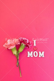 Fair Trade Photo Colour image, Flower, Heart, Letter, Mothers day, Peru, Pink, South America, Text